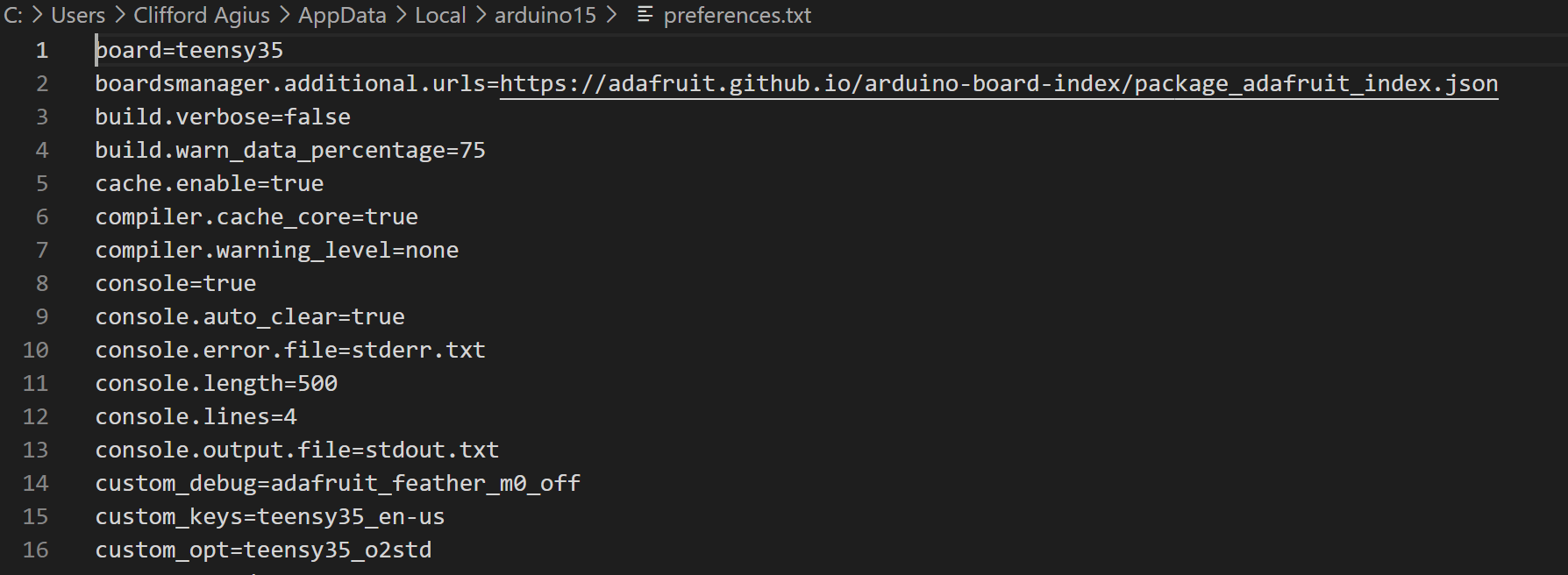 Preferences.txt file contents open in VSCode
